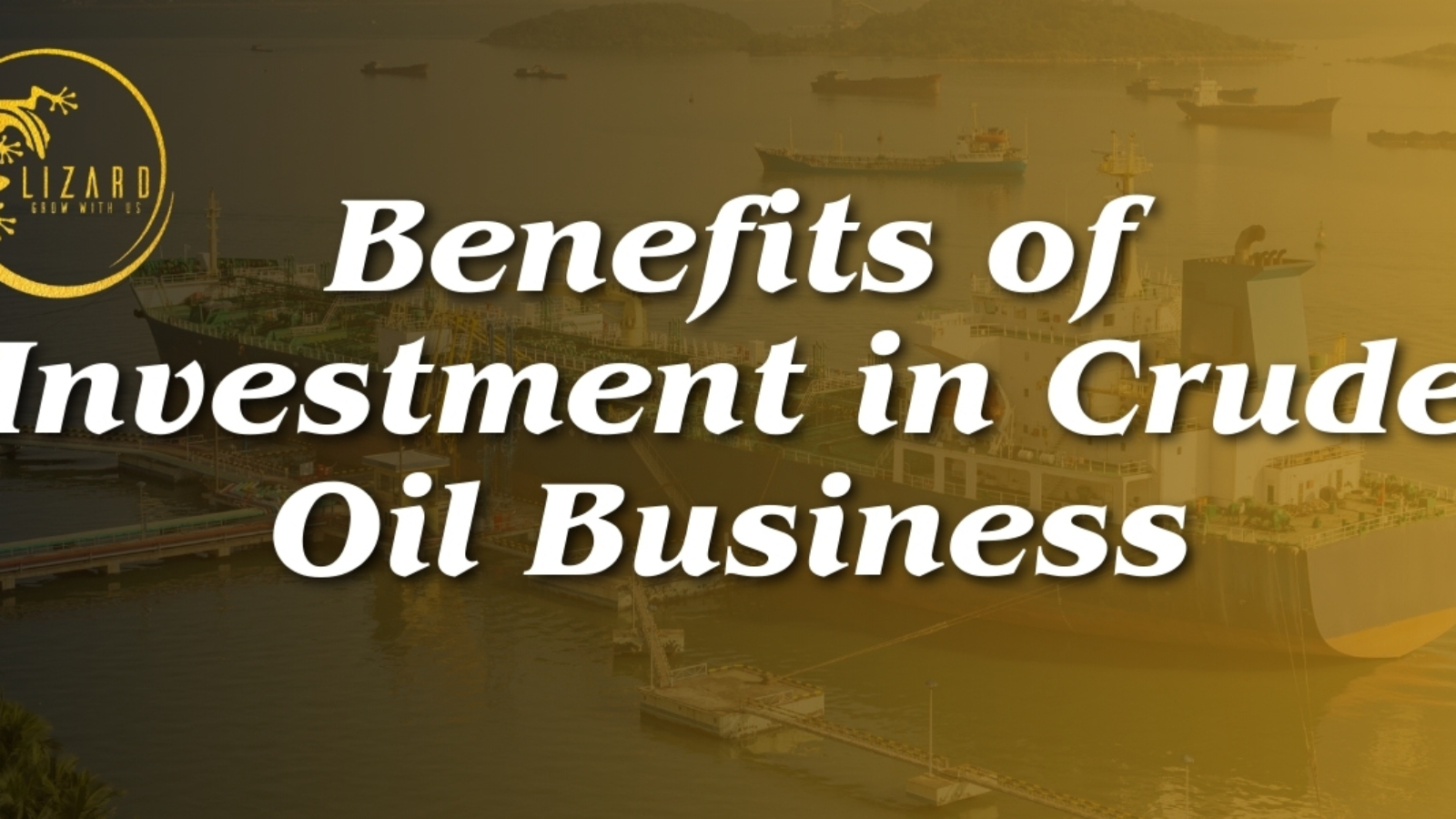 Benefits of Investment in Crude Oil Business