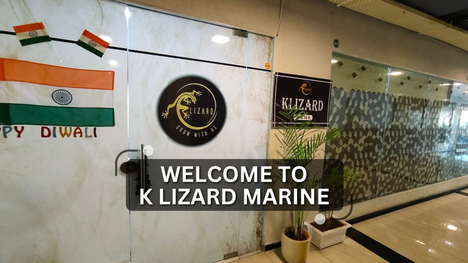 k-lizard-marine
